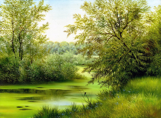 816342 (a): :2400x1751